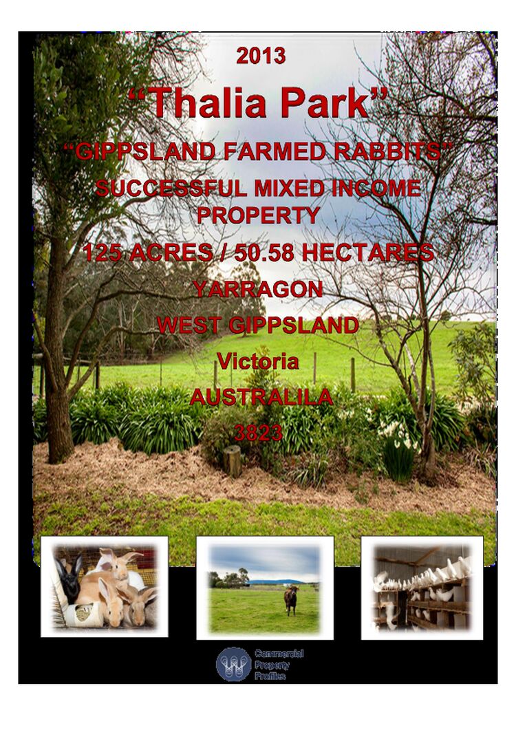 Thalia Park - Rabbit Farm