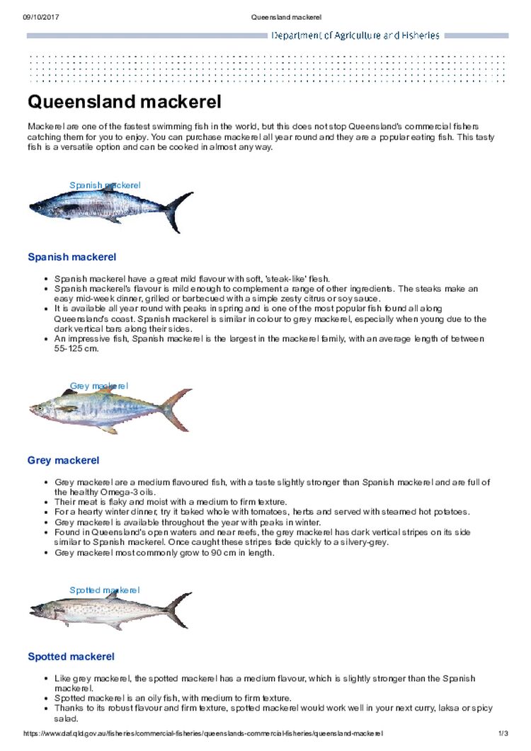 Queensland mackerel - Department of Agriculture and Fisheries