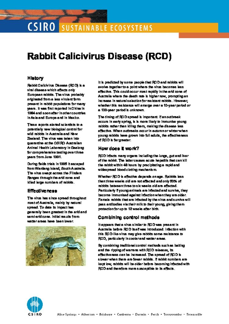 Rabbit Calicivirus Disease (RCD)