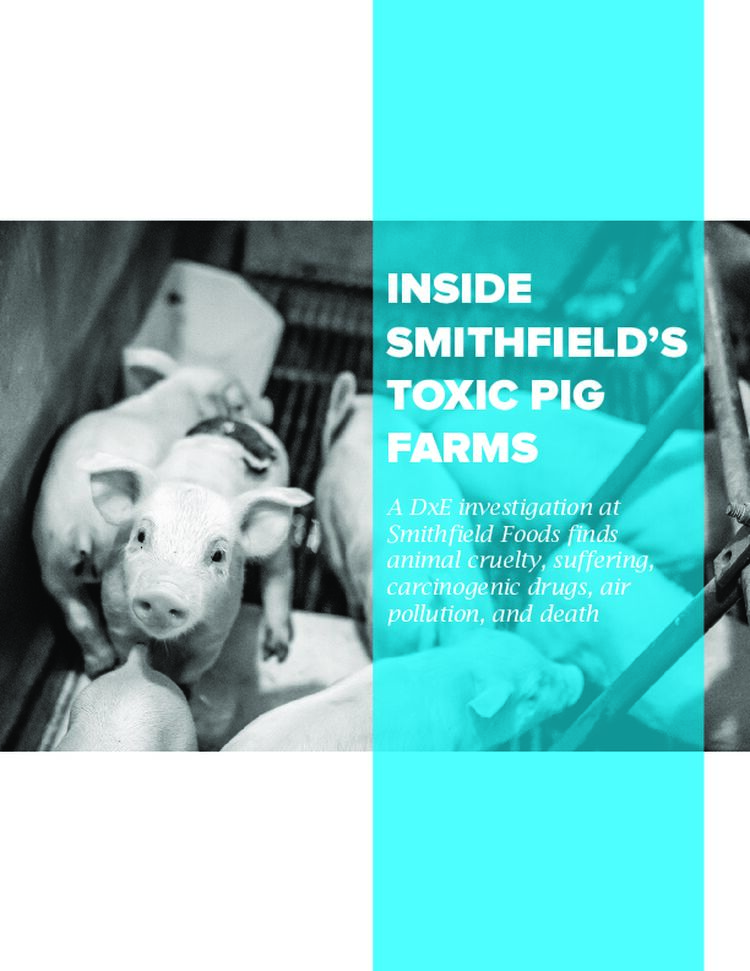 Smithfield_Report_2019