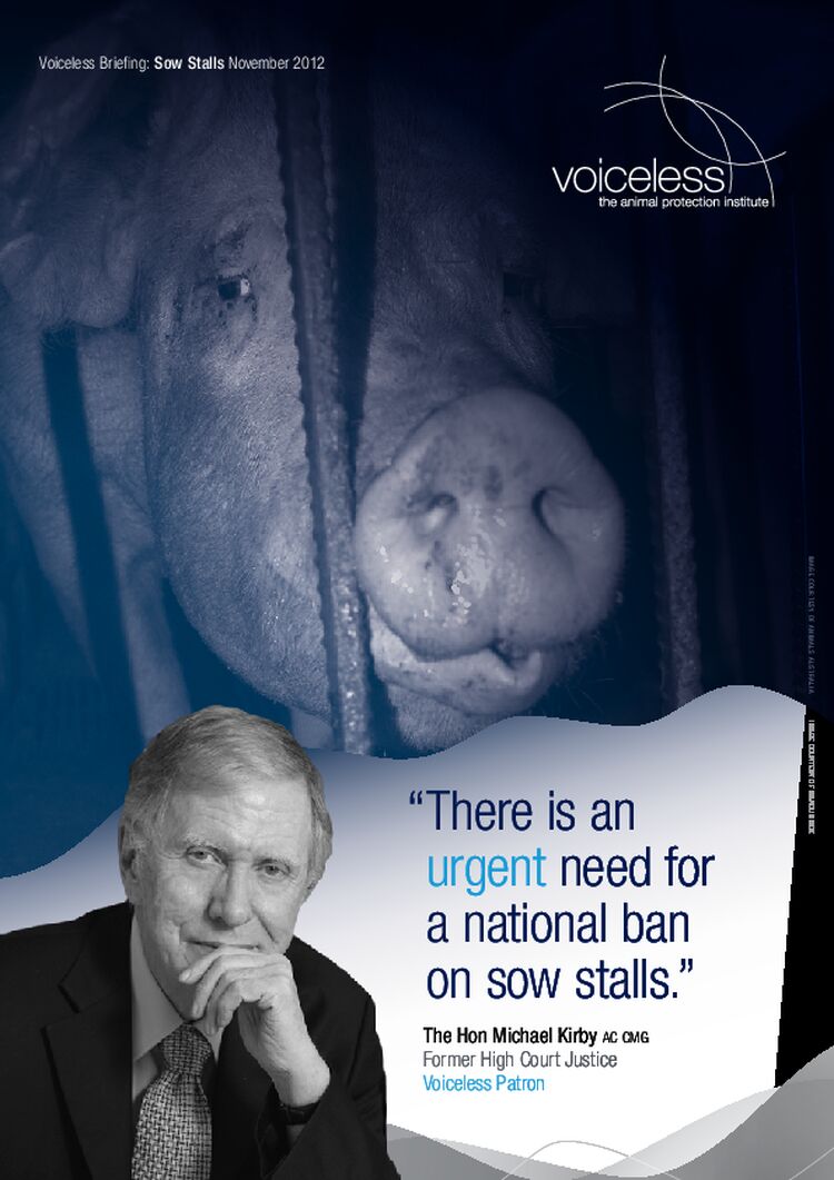 Voiceless_Briefing_Sow_Stalls