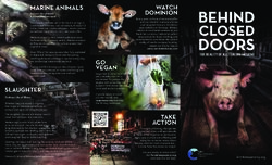 Behind Closed Doors: the Reality of Australian Farming (web)