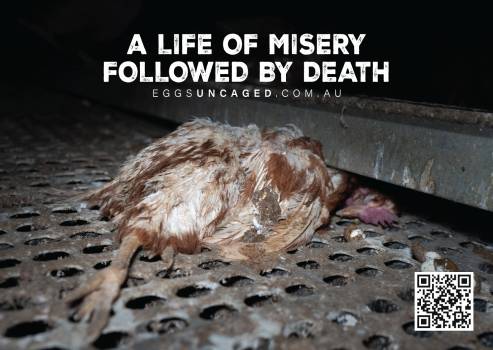 Eggs Uncaged Sticker 5