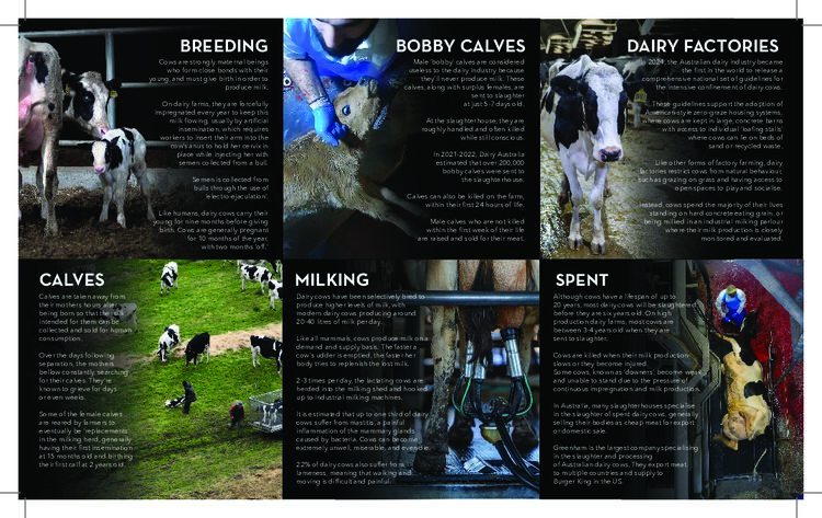 Deadly Dairy: the Reality Behind Every Glass of Milk (print)