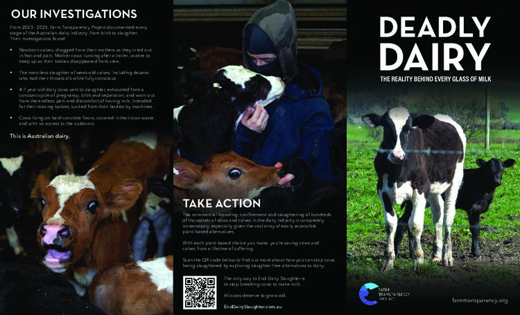 Deadly Dairy: the Reality Behind Every Glass of Milk (web)