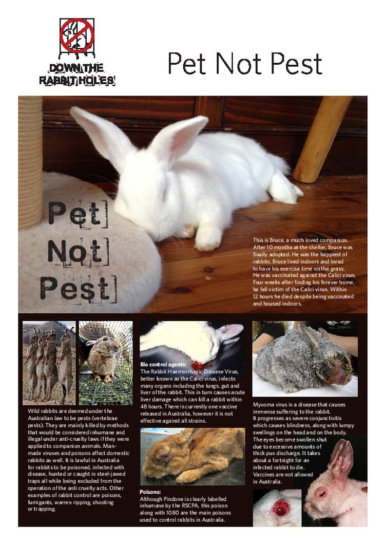 DTRH_Leaflet 3 Poison