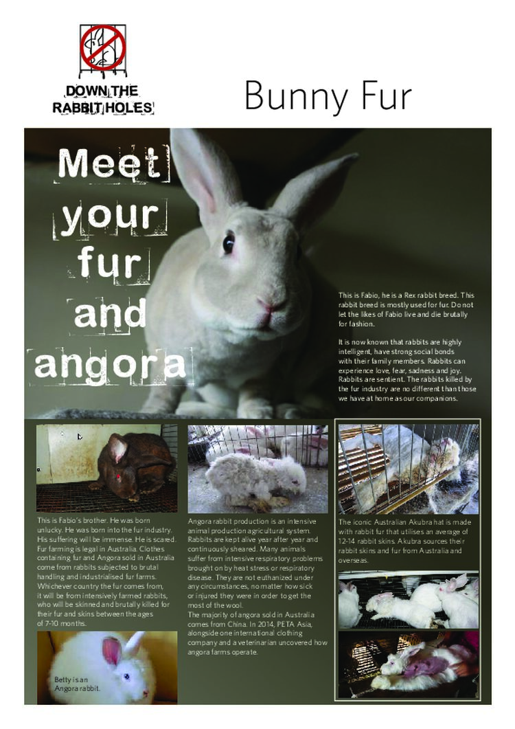 DTRH_Leaflet 2 Fur