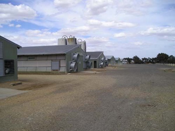 PoultryFarmsAustralia.com.au listing photo
