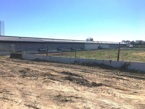 Busselton Free Range Egg Farm