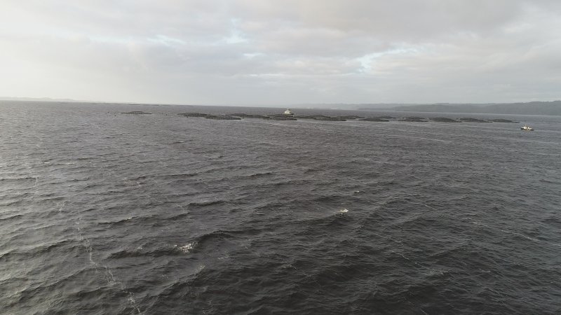 Drone flyover of offshore salmon farm