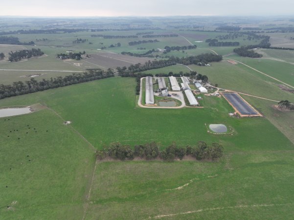 Drone flyover of piggery