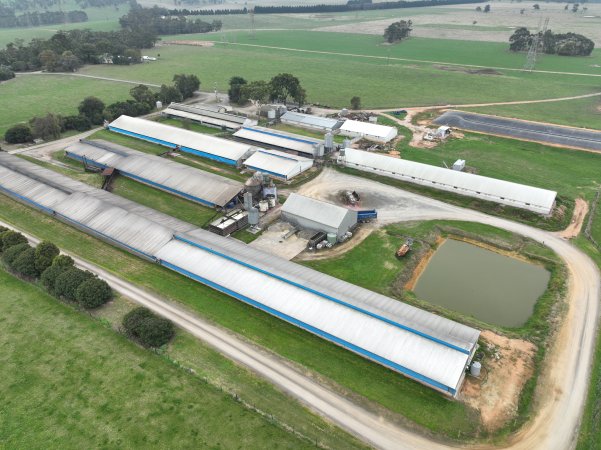 Drone flyover of piggery