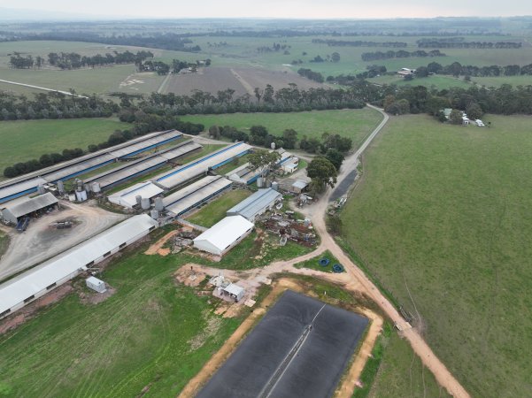Drone flyover of piggery