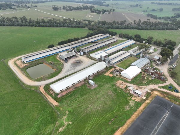Drone flyover of piggery
