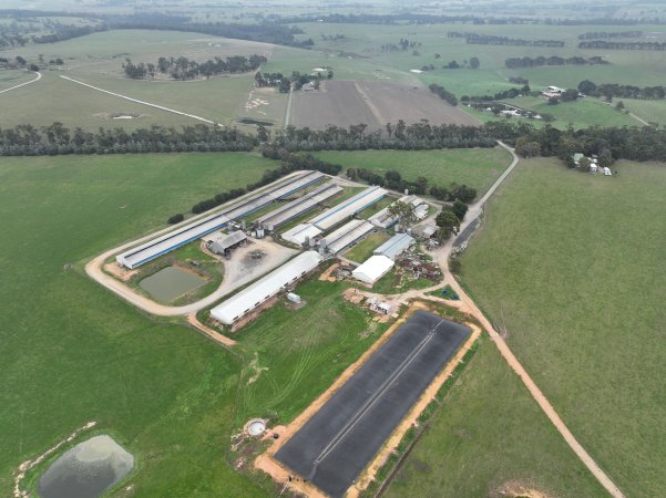 Drone flyover of piggery