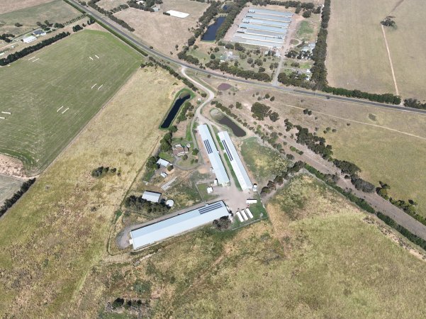 Drone flyover of free-range egg farm