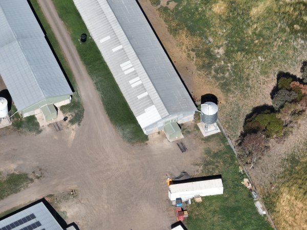 Drone flyover of free-range egg farm