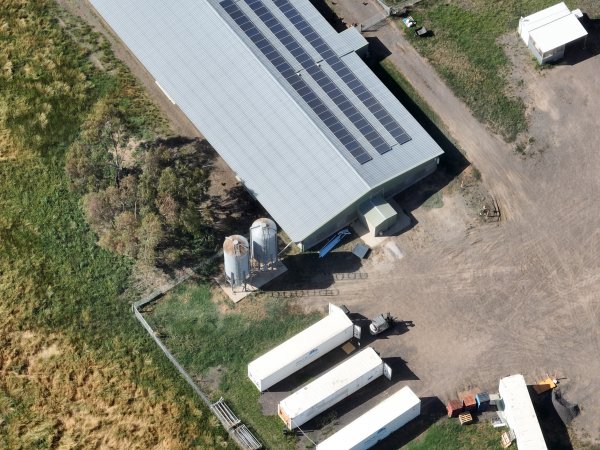 Drone flyover of free-range egg farm