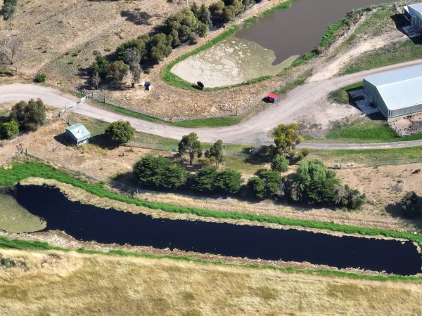 Drone flyover of free-range egg farm