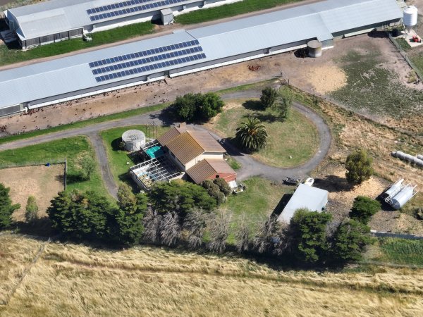Drone flyover of free-range egg farm