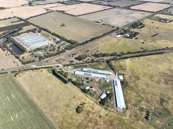 Drone flyover of free-range egg farm