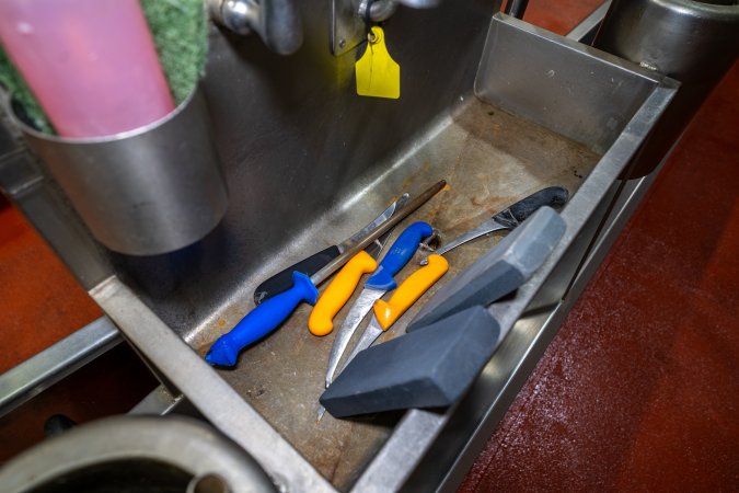 Knives in a sink in sheep/pig/goat processing room