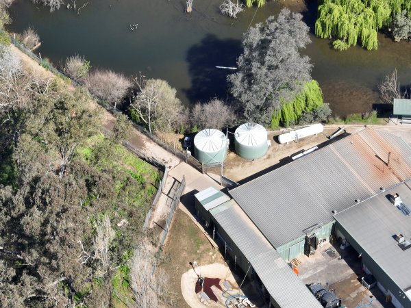Drone flyover of slaughterhouse