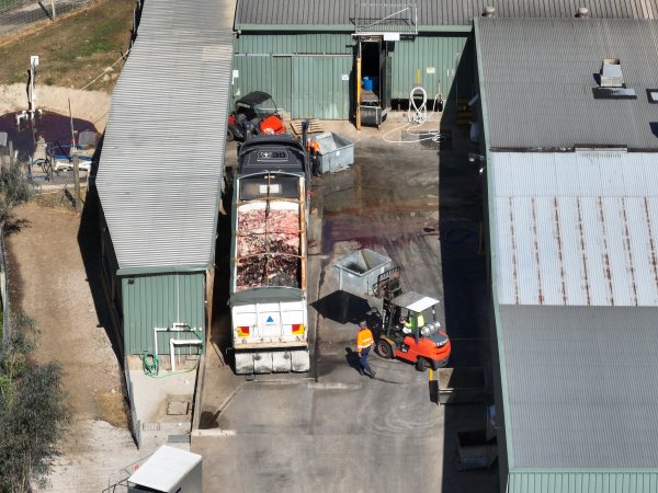 Drone flyover of slaughterhouse