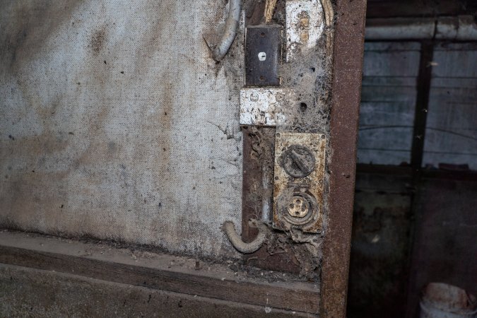 Switches and power outlets covered in spiderwebs