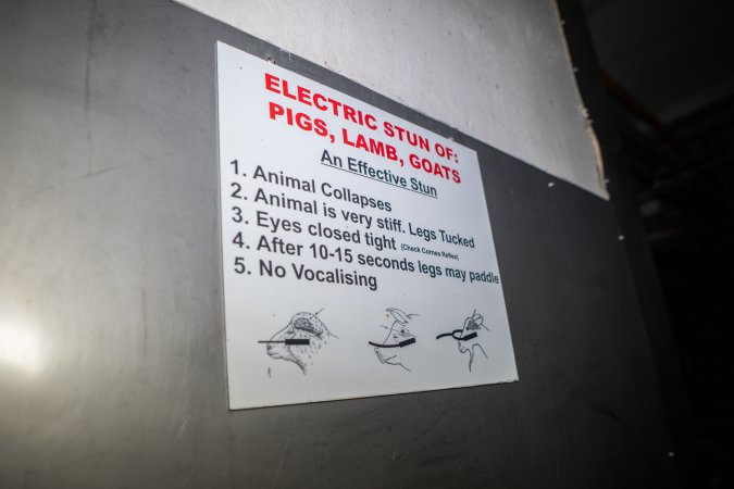Sign with signs of an 'efective stun'