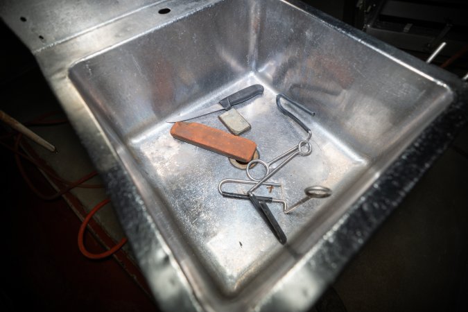 Knife in sink inside slaughterhouse kill room