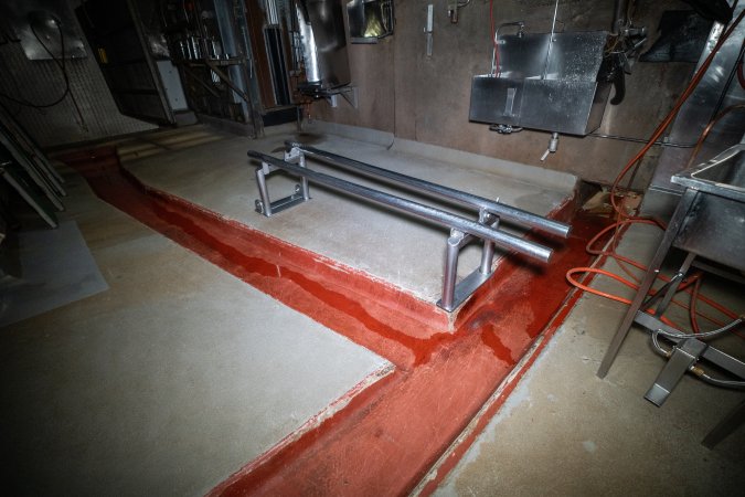 Bench used when cows are butchered