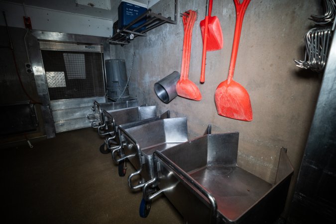 Overview of slaughterhouse kill room