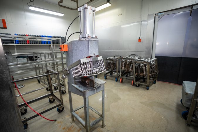 Overview of slaughterhouse room