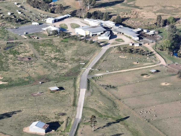 Drone flyover of slaughterhouse