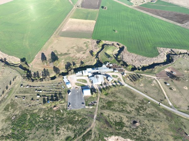 Drone flyover of slaughterhouse