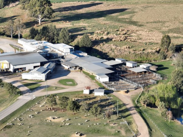 Drone flyover of slaughterhouse