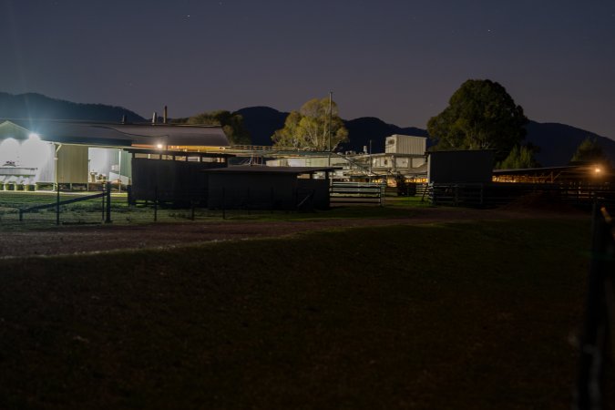 Outside slaughterhouse at night