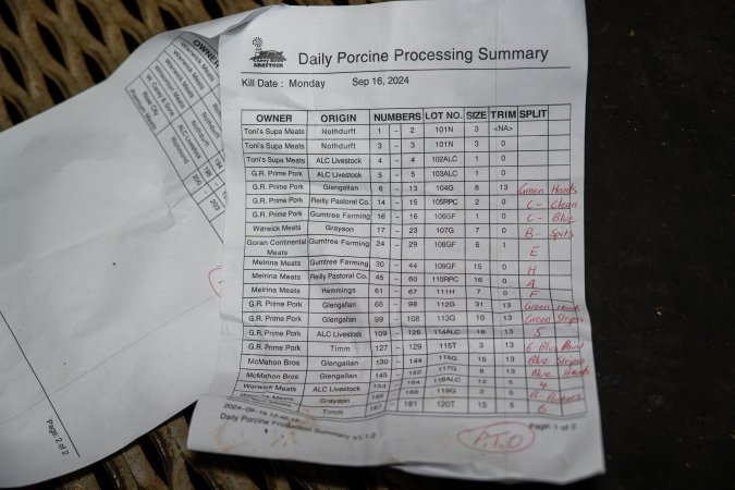 Daily Porcine Processing Summary