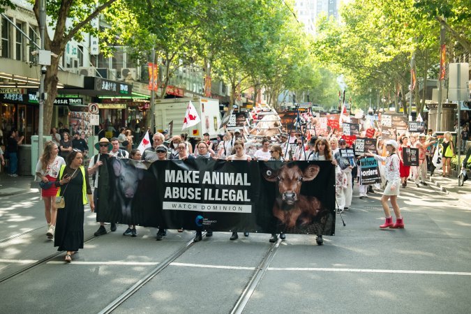Dominion Animal Rights March 2025