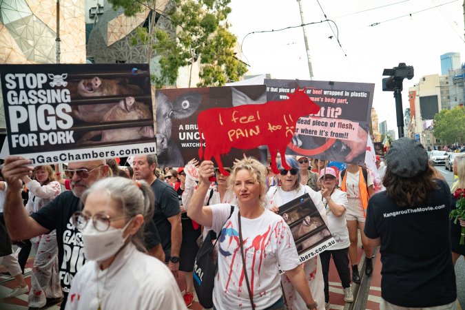 Dominion Animal Rights March 2025