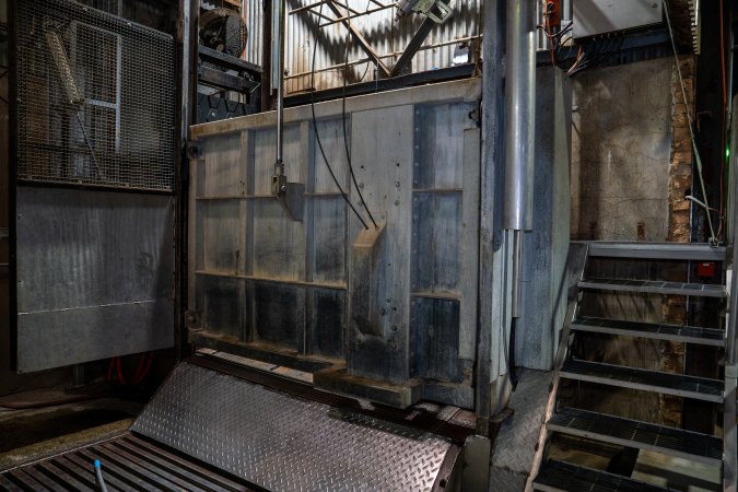Cattle kill room