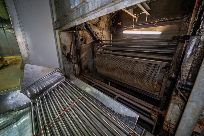Pig gas chamber