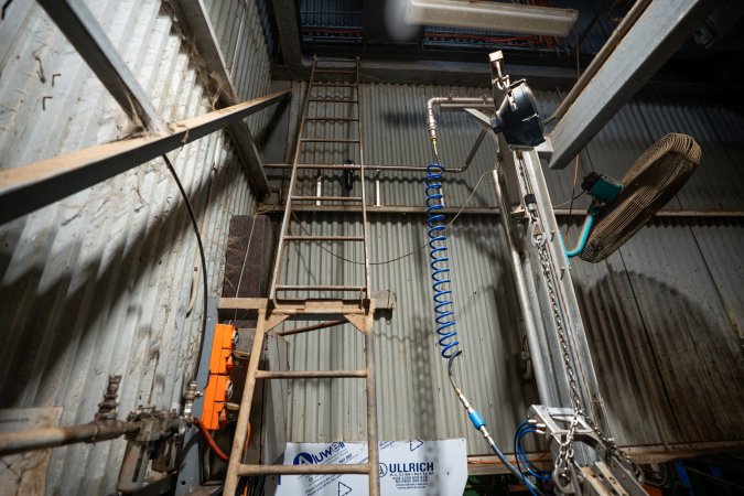 Ladder in cow kill room