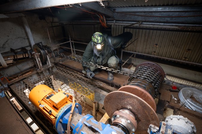 Investigator in slaughterhouse