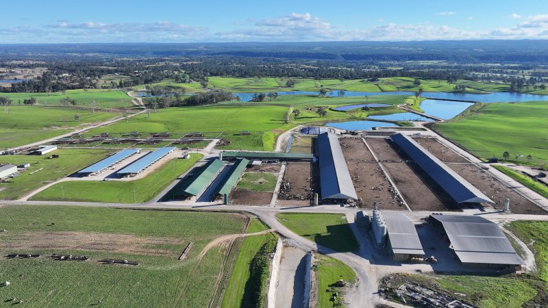 Leppington Pastoral Drone Shots