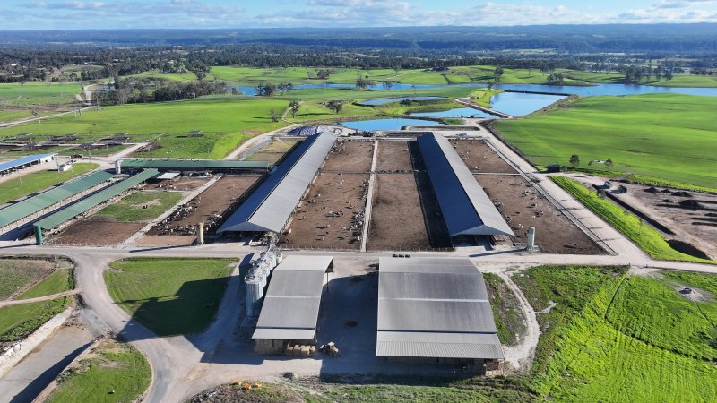 Leppington Pastoral Drone Shots