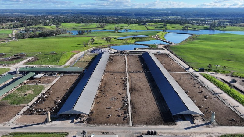 Leppington Pastoral Drone Shots