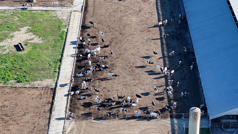 Leppington Pastoral Drone Shots