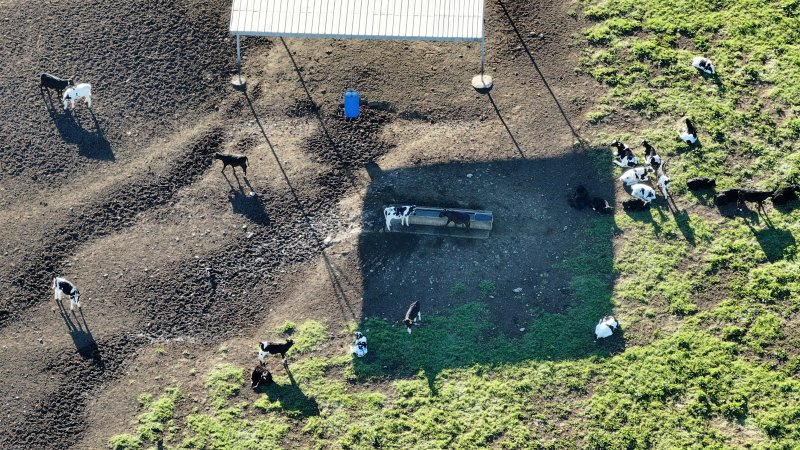 Leppington Pastoral Drone Shots